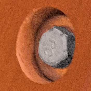 Swing Set Nuts & Bolts